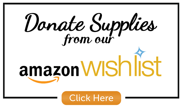 CFS-Amazon-Wishlist-Donations.png