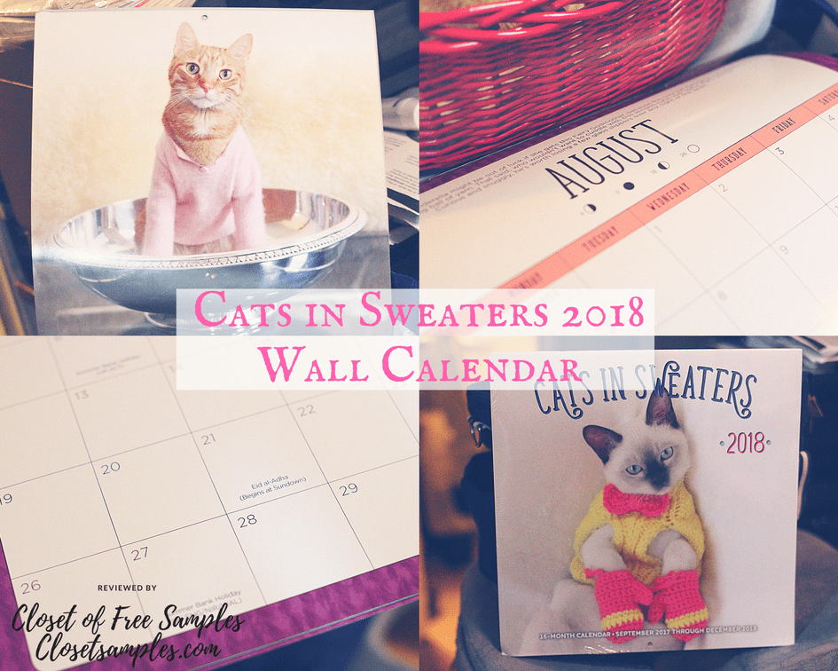 Cats in Sweaters 2018 Wall Cal...
