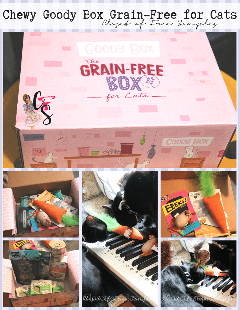 Goody Box Grain-Free for Cats from Chewy.com #Review