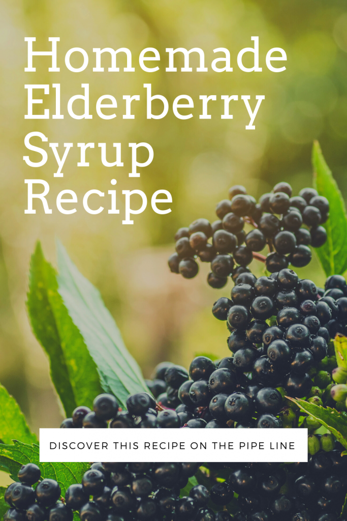 Homemade-Elderberry-Syrup-Recipe-pipingrock-closetsamples-3.png