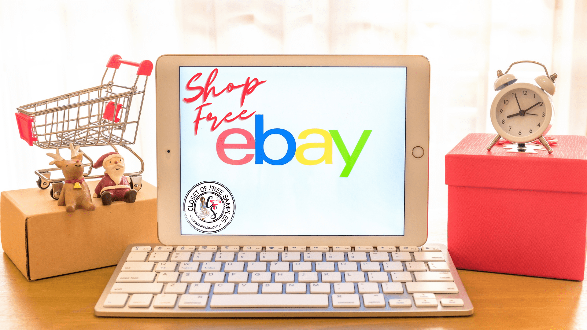 How-to-Get-Free-Stuff-on-eBay-closetsamples.png