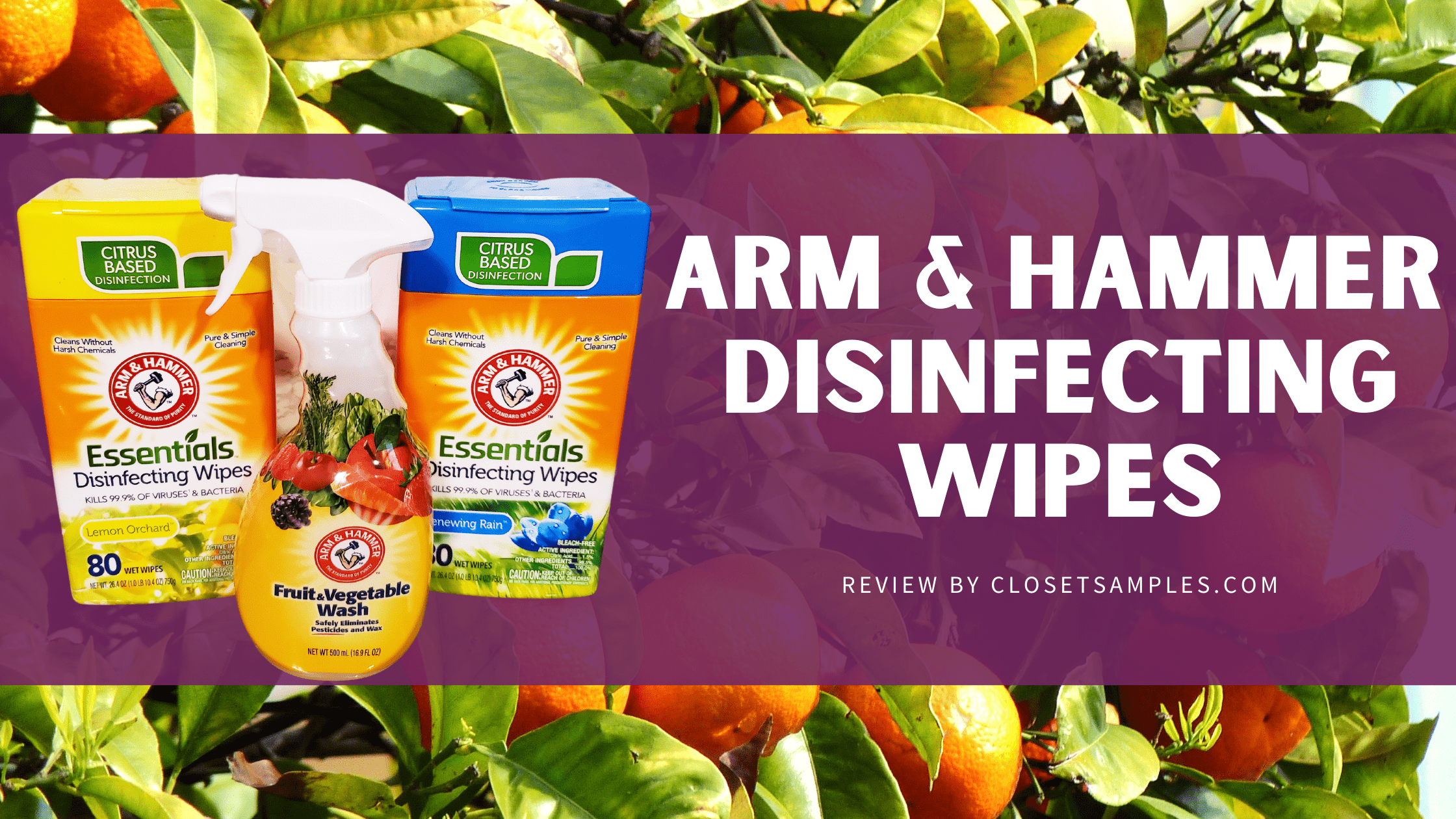 I-tried-the-NEW-Arm-and-Hammer-Disinfecting-Wipes-review-closetsamples.png