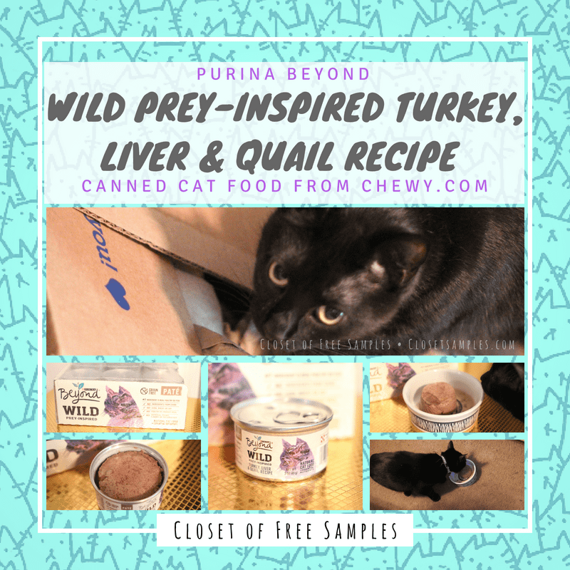 REVIEW: Purina Beyond Wild Pre...
