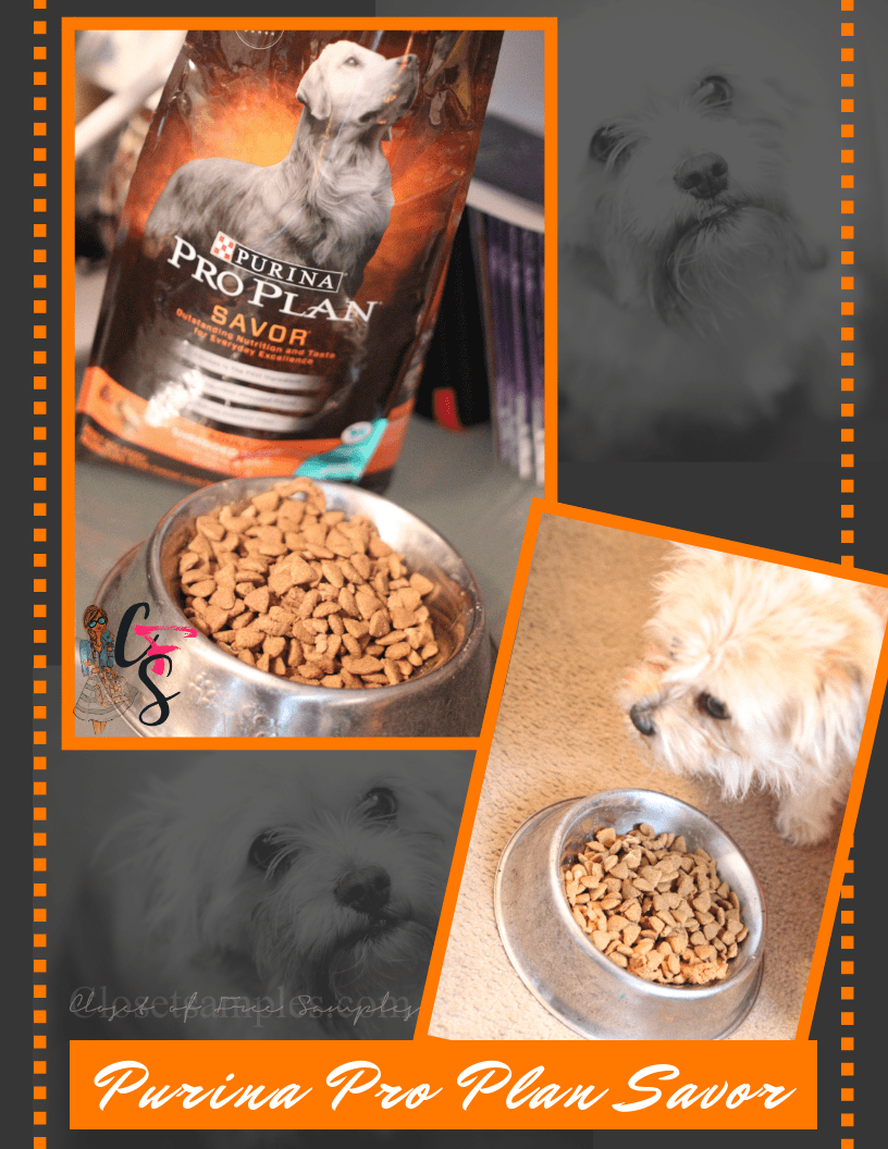 Purina Pro Plan Savor Chewy Review.png