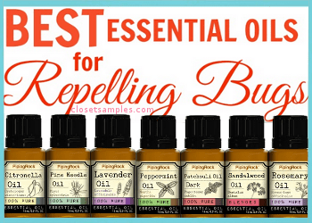 Top 7 Essential Oils for Repelling Bugs