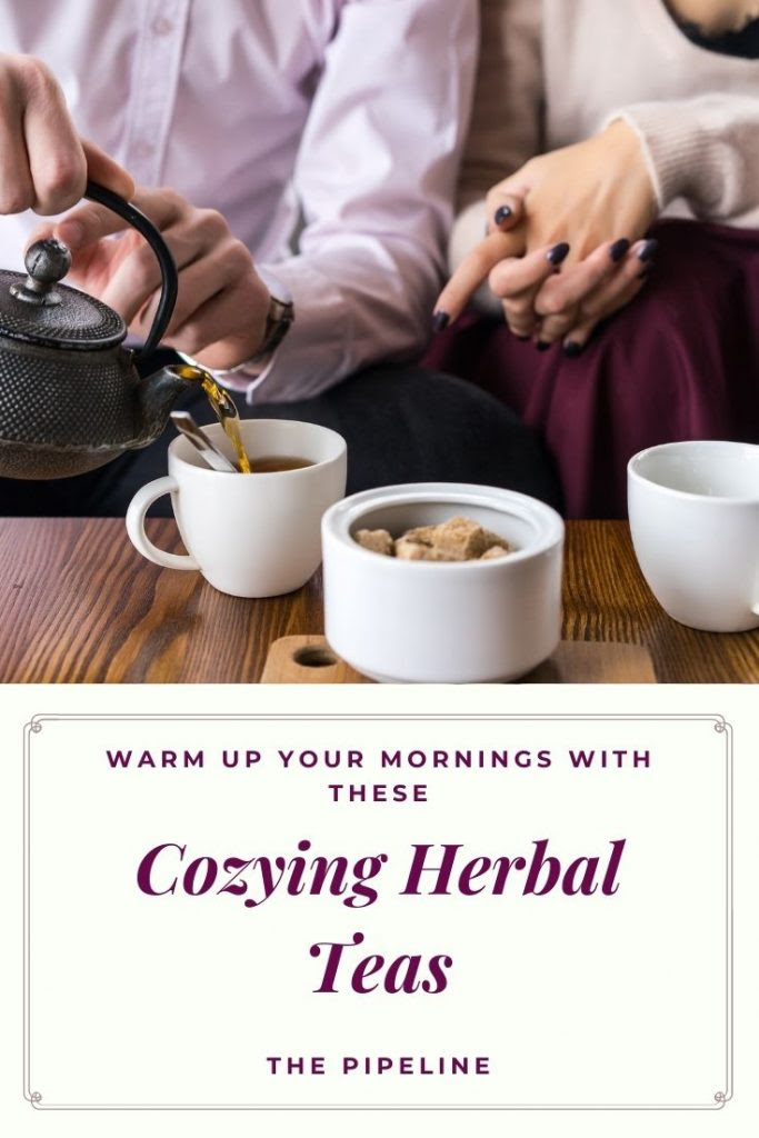 Warm-up-your-Mornings-with-these-Cozying-Herbal-Teas-PipingRock-Closetsamples.jpg