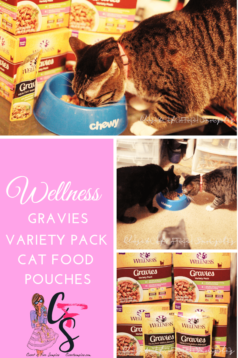 Wellness-Healthy-Indulgence-Gravies-Grain-Free-Variety-Pack-Cat-Food-Pouches.png