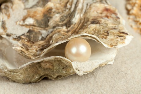 Open Your Own Pearl at Home fo...
