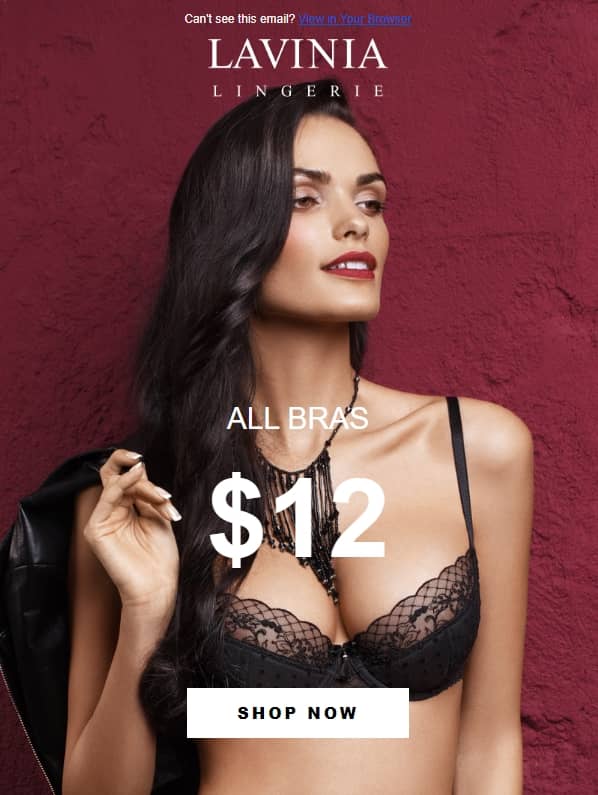 All Bras on Sale for Just $12.