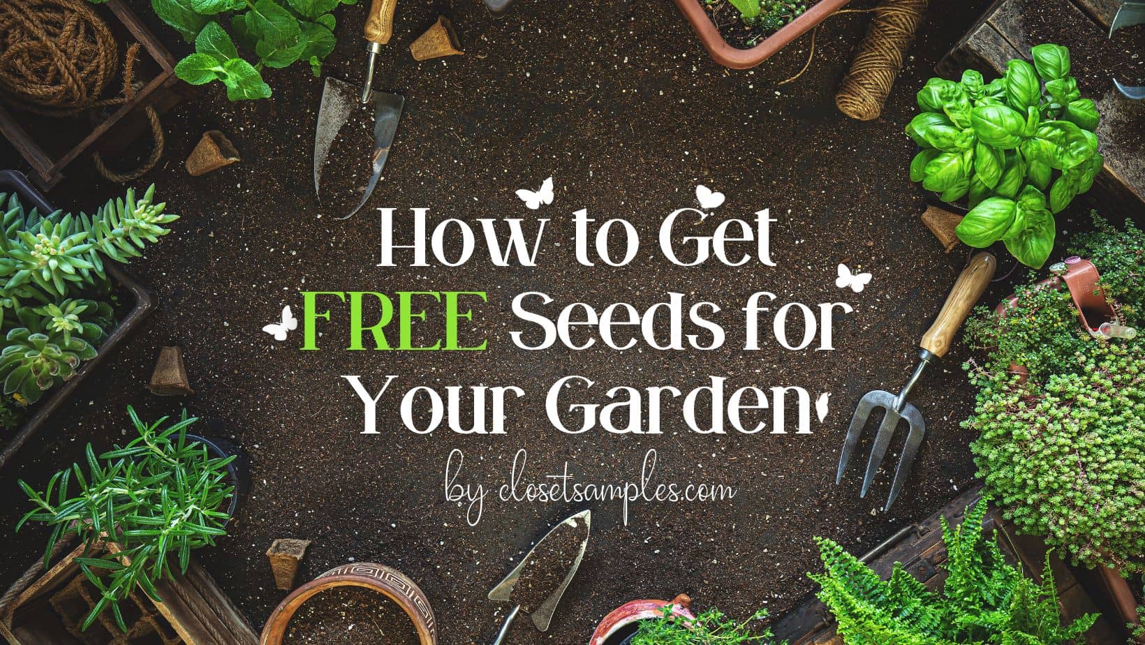 How to Get Free Seeds for Your Garden closetsamples