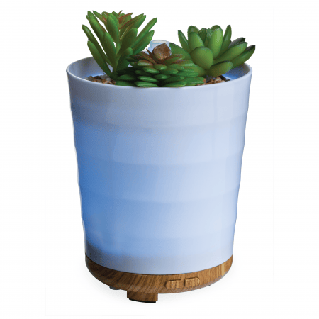 2021 Mothers Day Gift Guide Closetsamples potted succulent diffuser