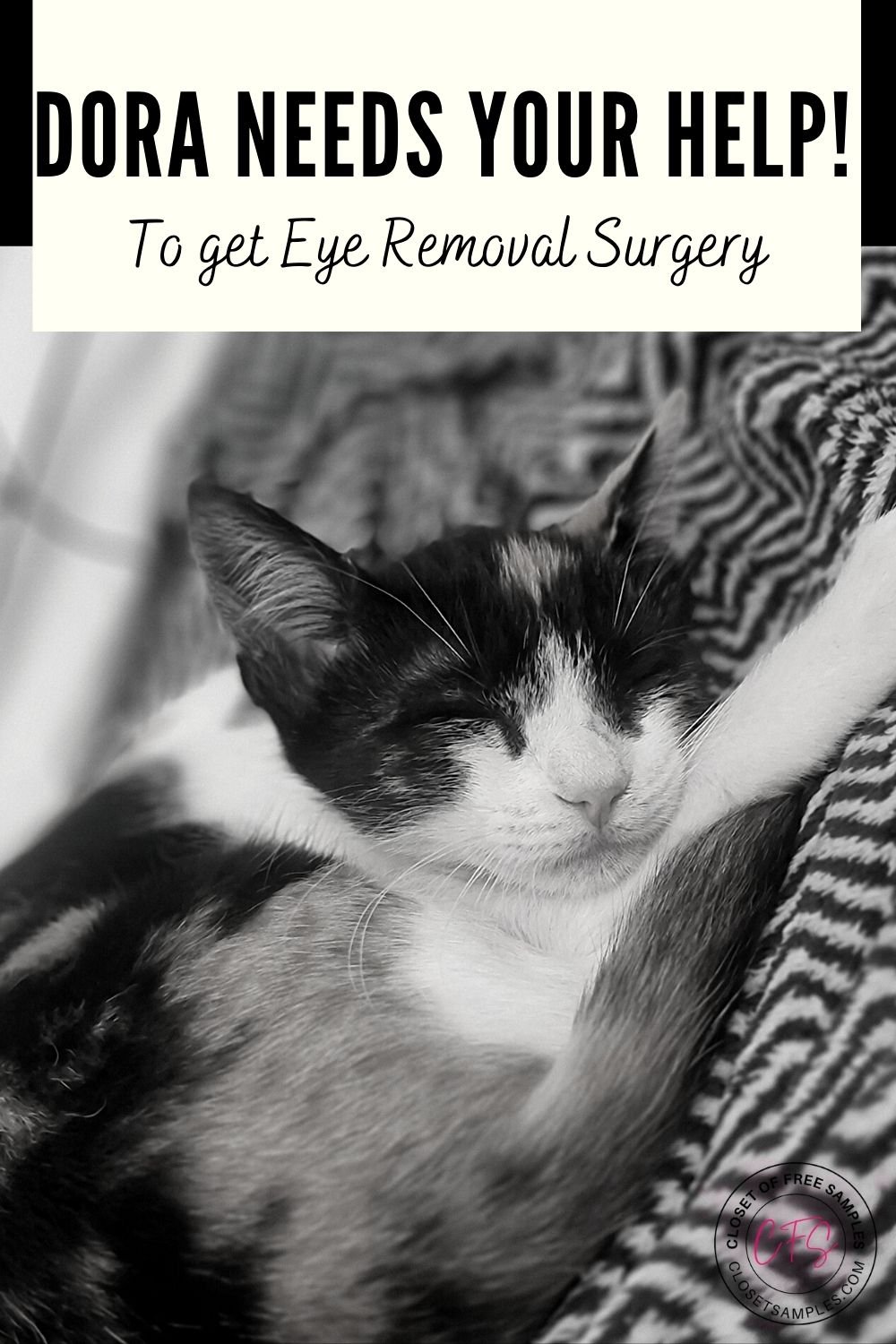 Dora Needs Your Help to Get Eye Removal Surgery closetsamples Pinterest