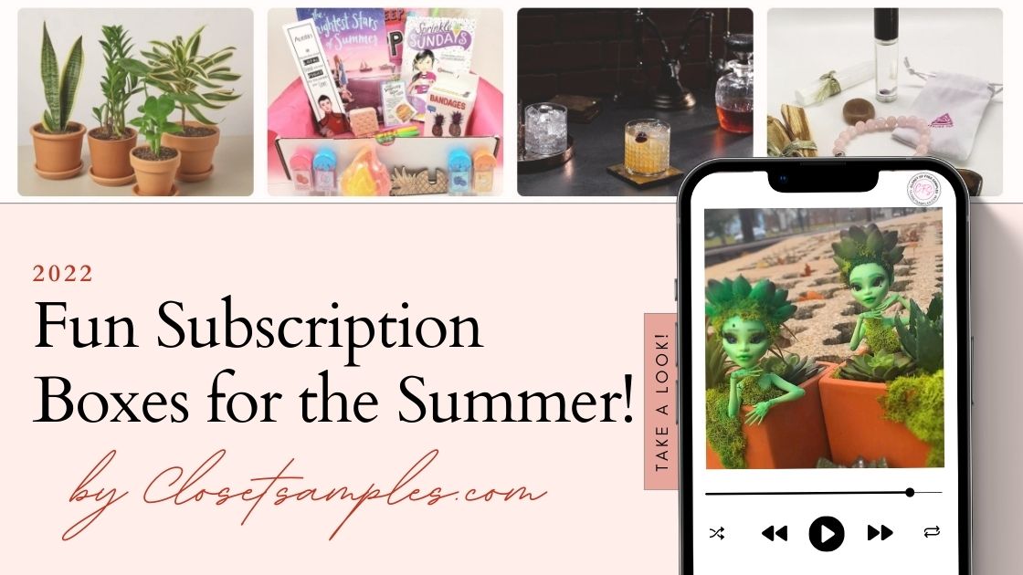 Fun Subscription Boxes for the...