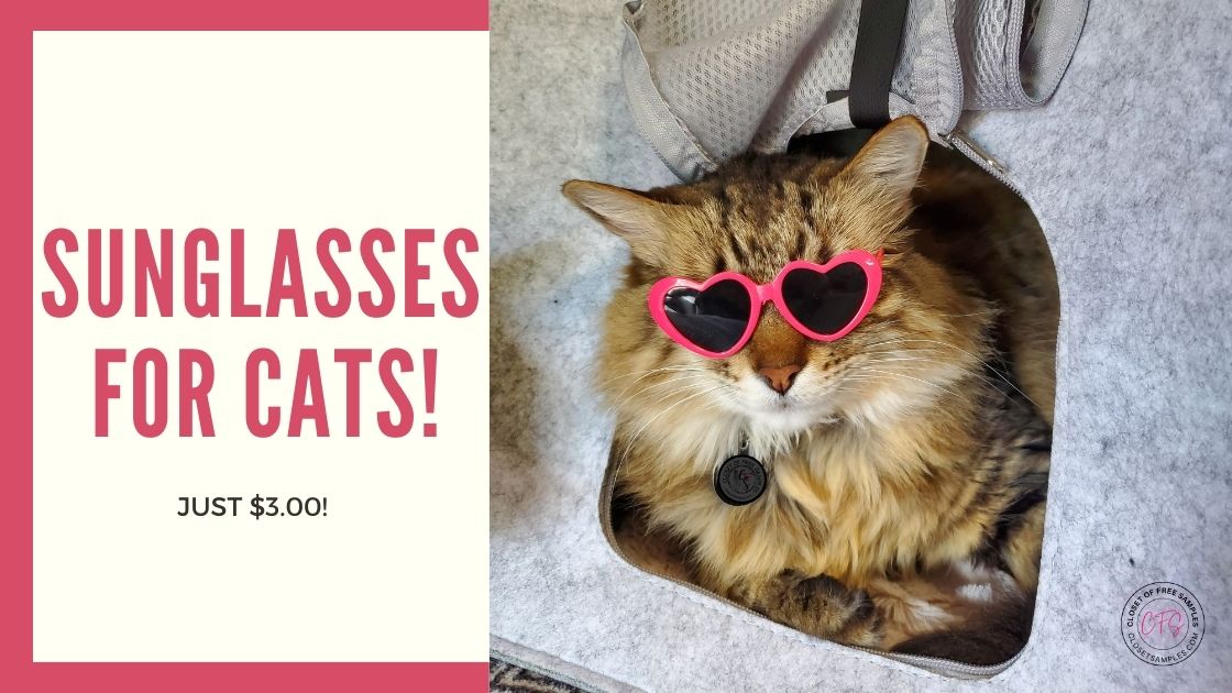 Sunglasses for cats SHEIN Closetsamples