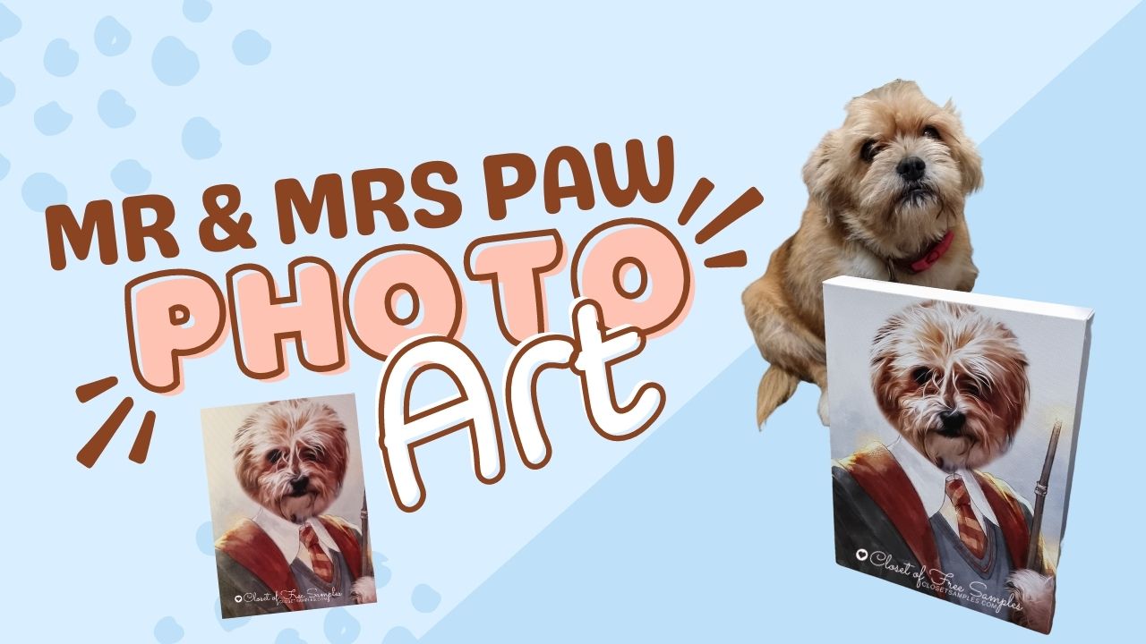 Gift Idea for Dog Lovers: Mr&a...