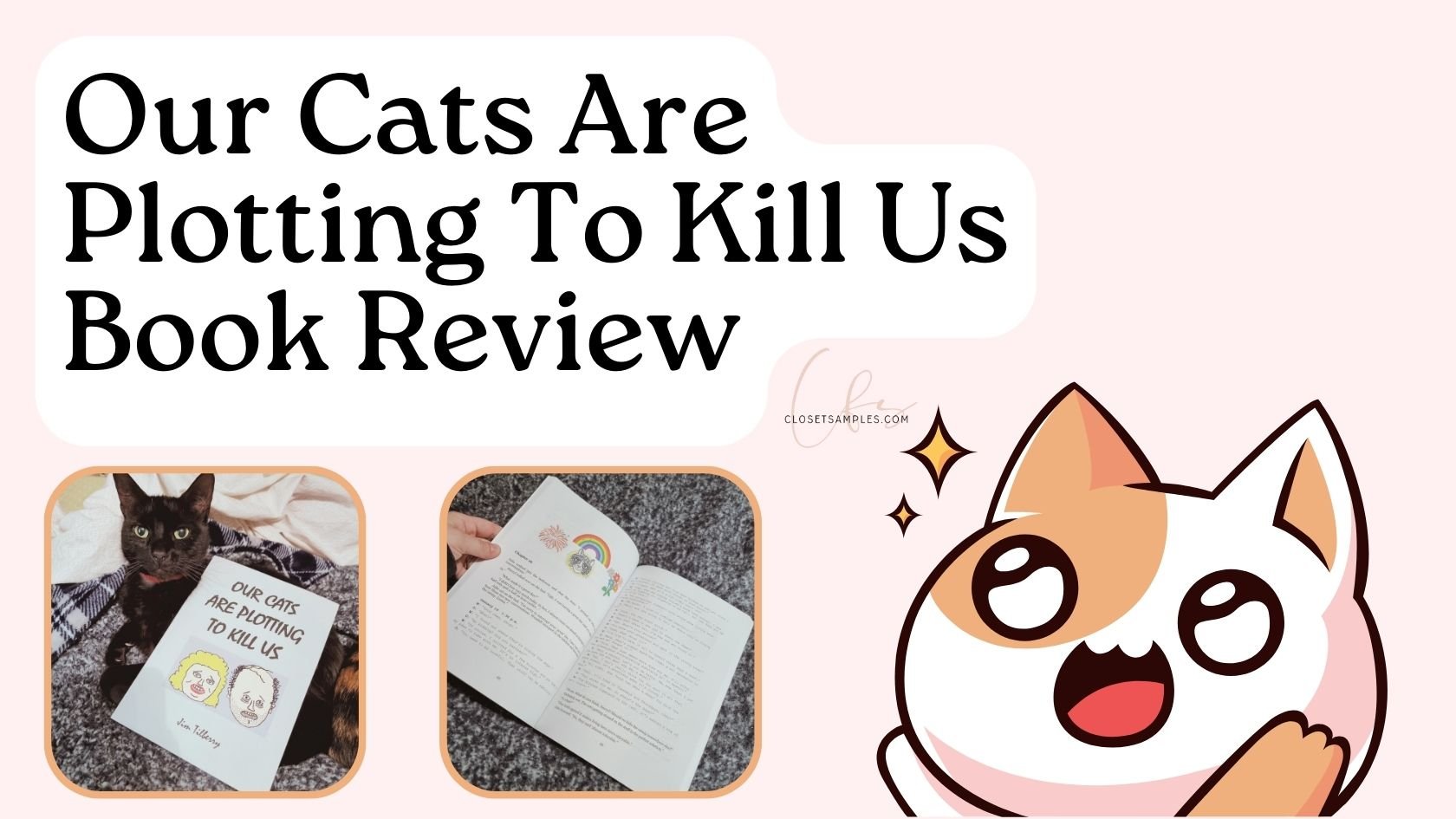 Our Cats Are Plotting To Kill Us Book Review closetsamples