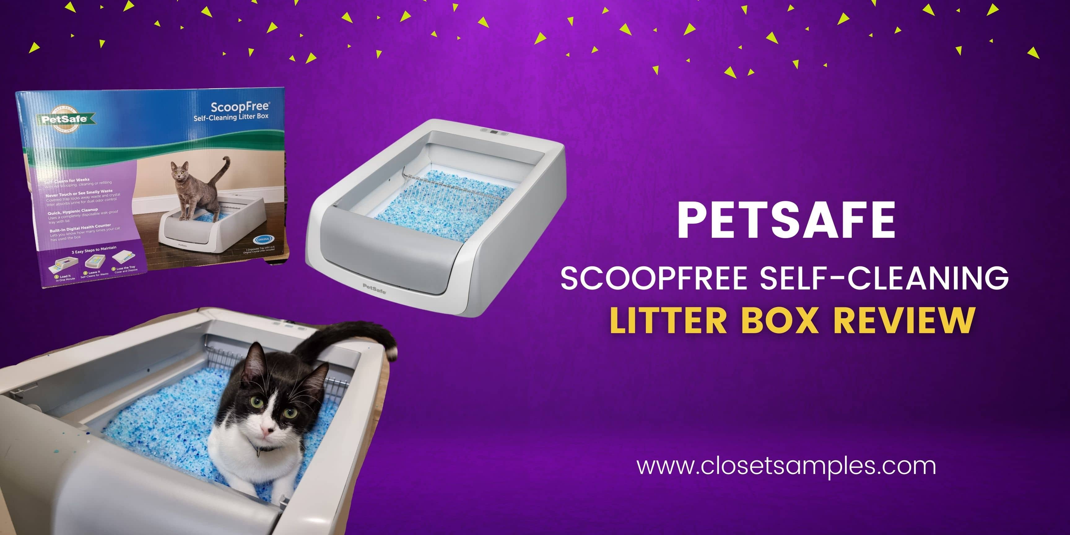 Petsafe ScoopFree Self Cleaning Litter Box Review