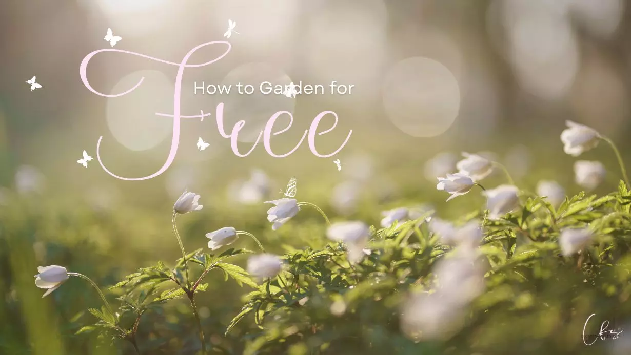 How to Garden for FREE: A Comp...